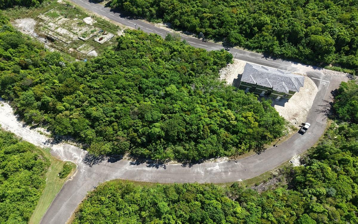 LOT 98, LYFORD HILLS