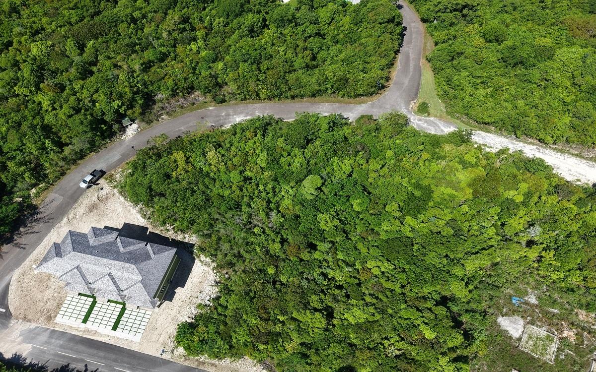 LOT 98, LYFORD HILLS