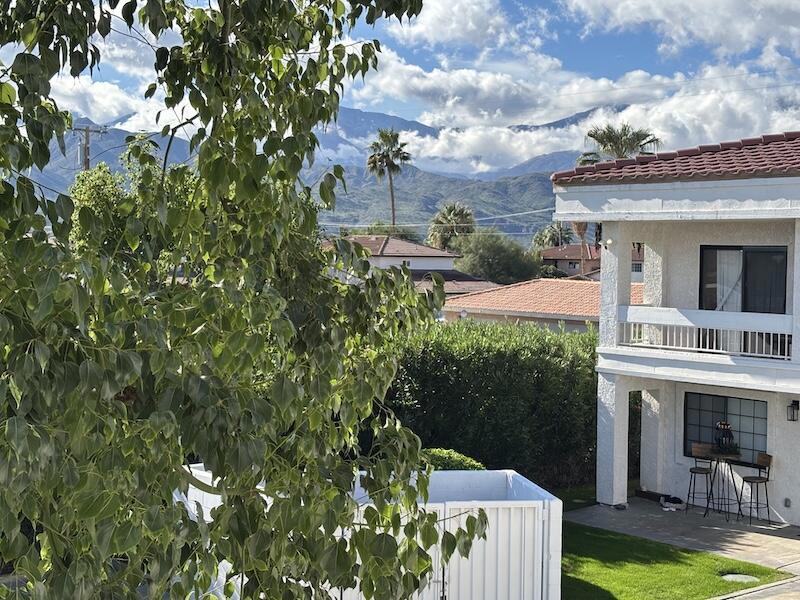 32389 Whispering Palms Trail 4