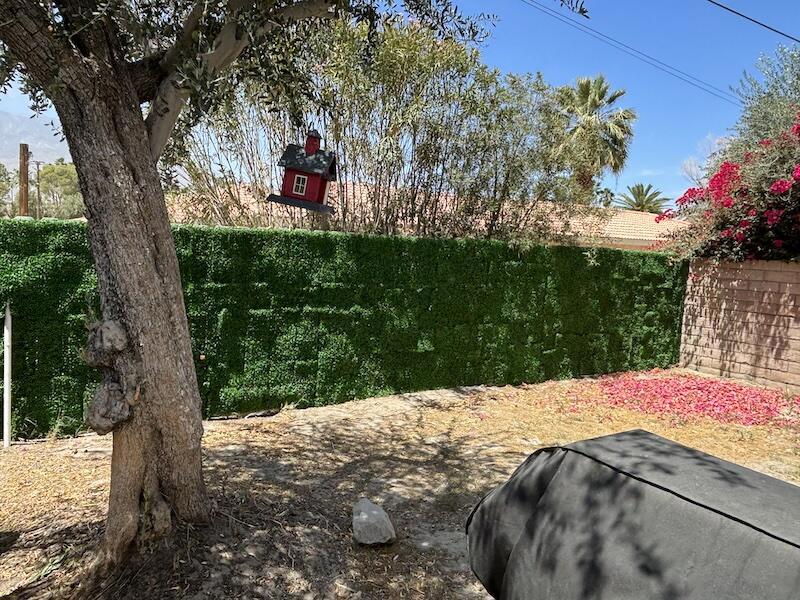 32389 Whispering Palms Trail 4