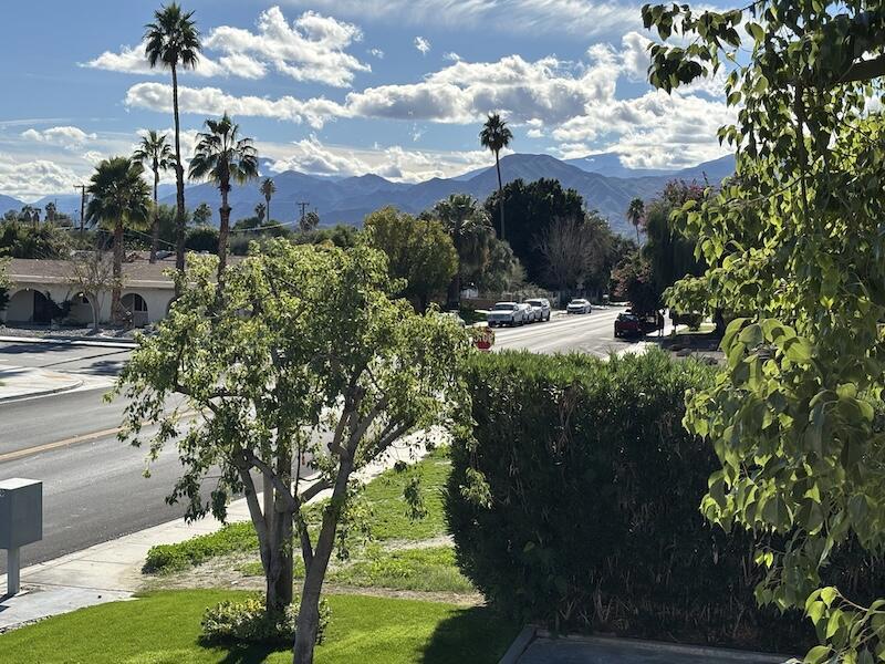 32389 Whispering Palms Trail 4