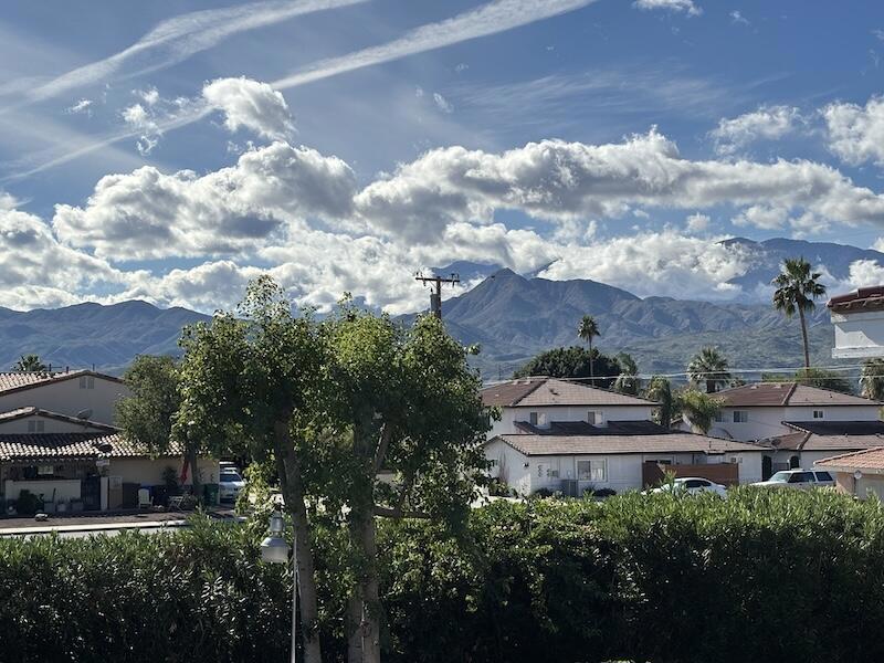 32389 Whispering Palms Trail 4