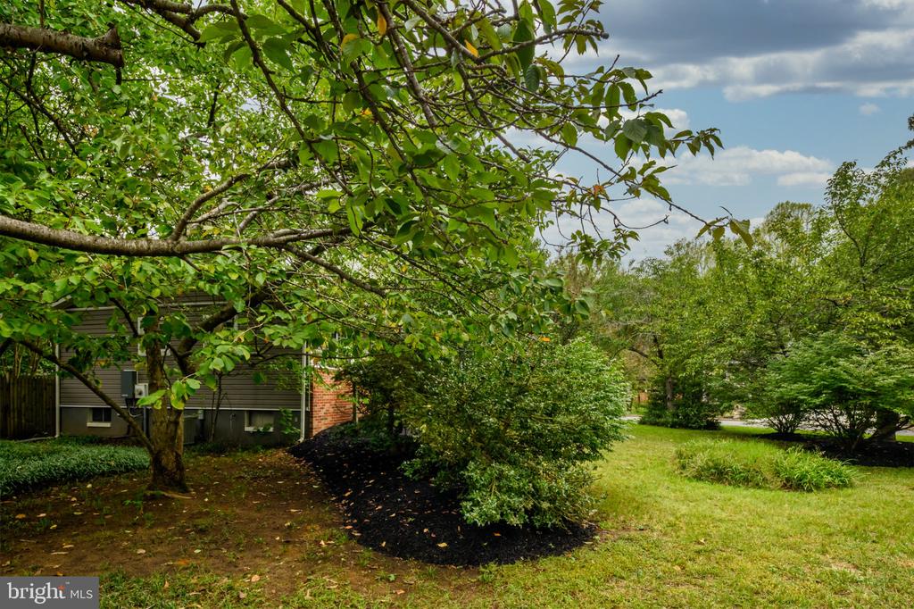 1523 MANOR VIEW ROAD