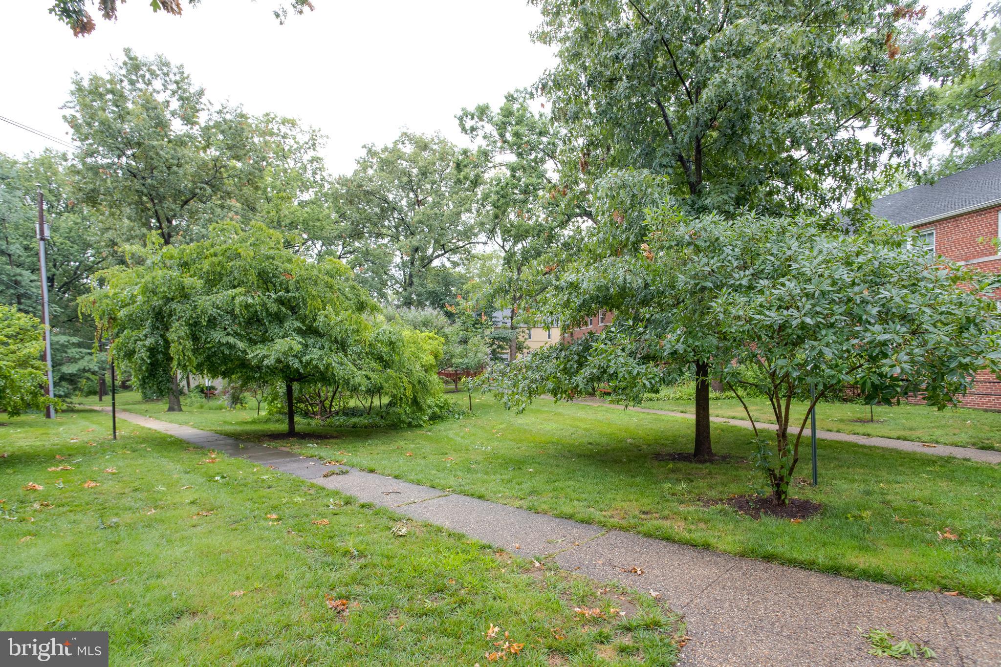 206 N Trenton STREET Unit: 206-2