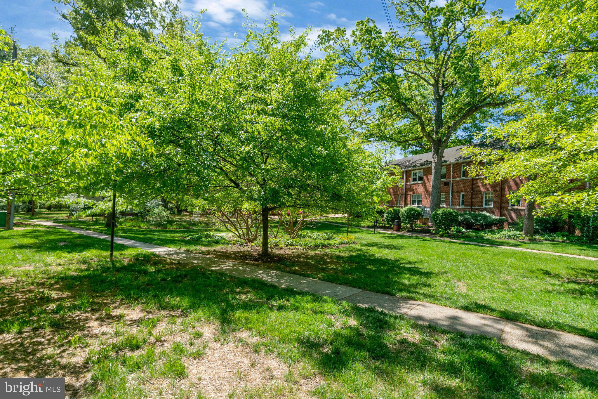 206 N TRENTON STREET 206-2