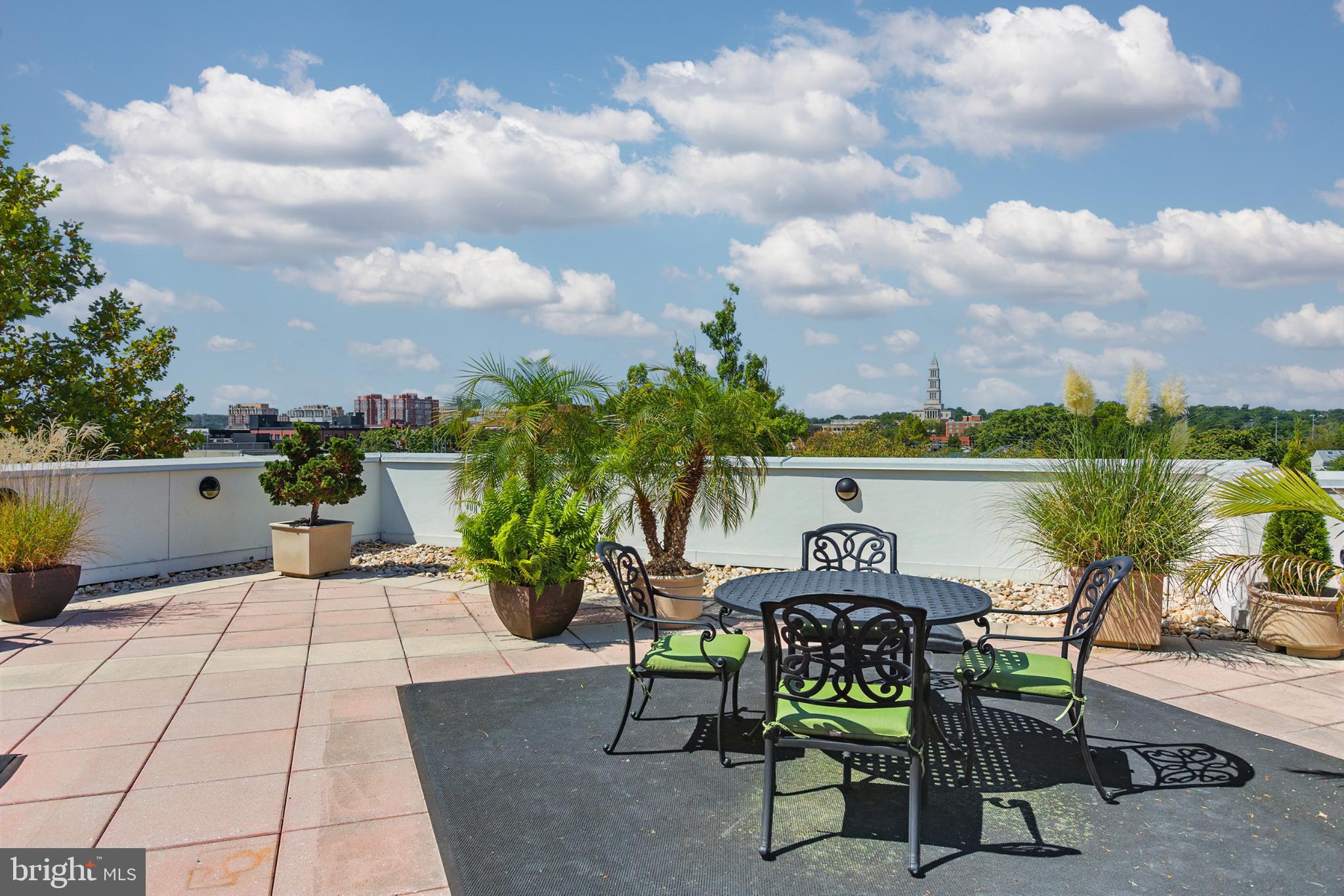 1115 CAMERON STREET 104