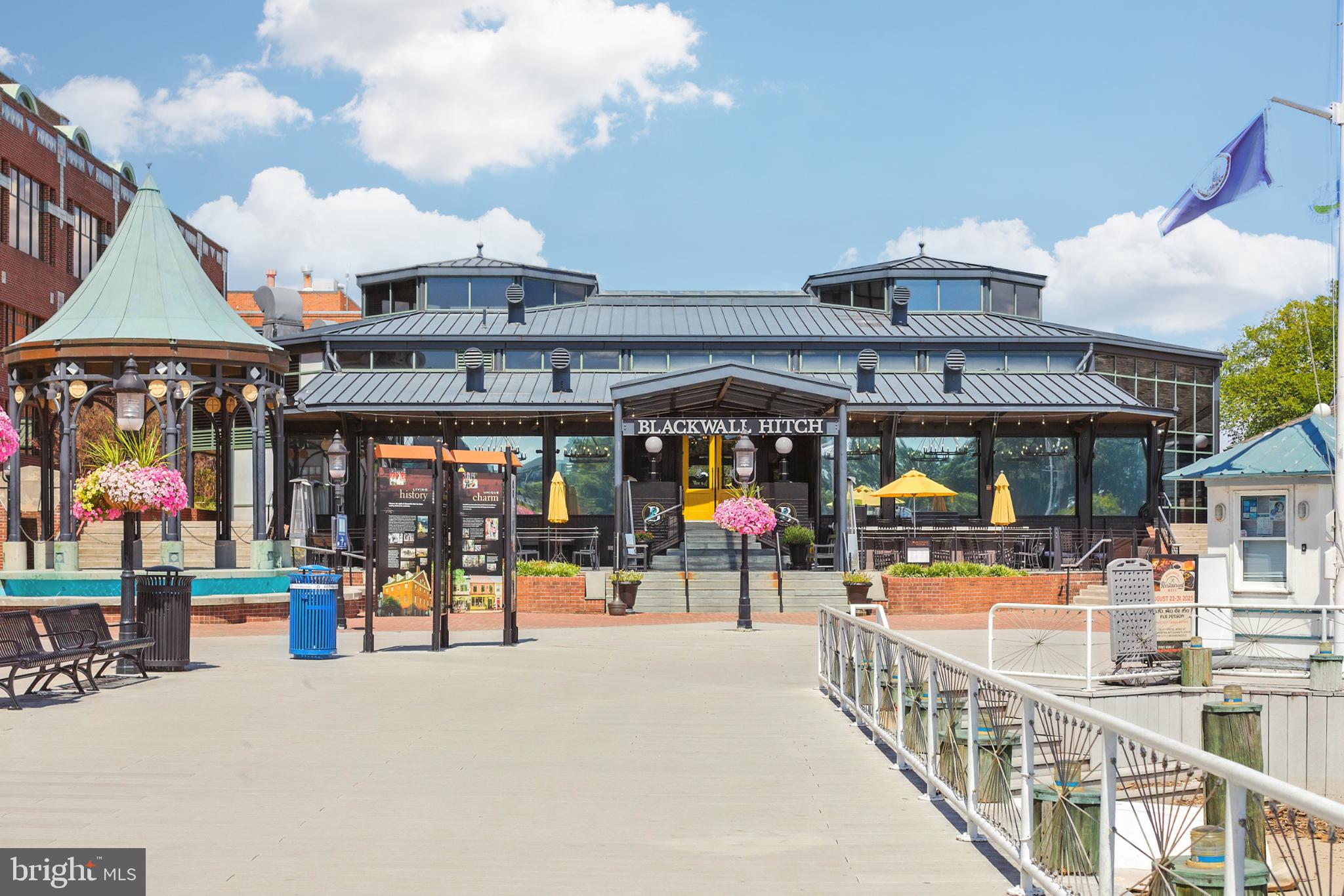 1115 CAMERON STREET 104