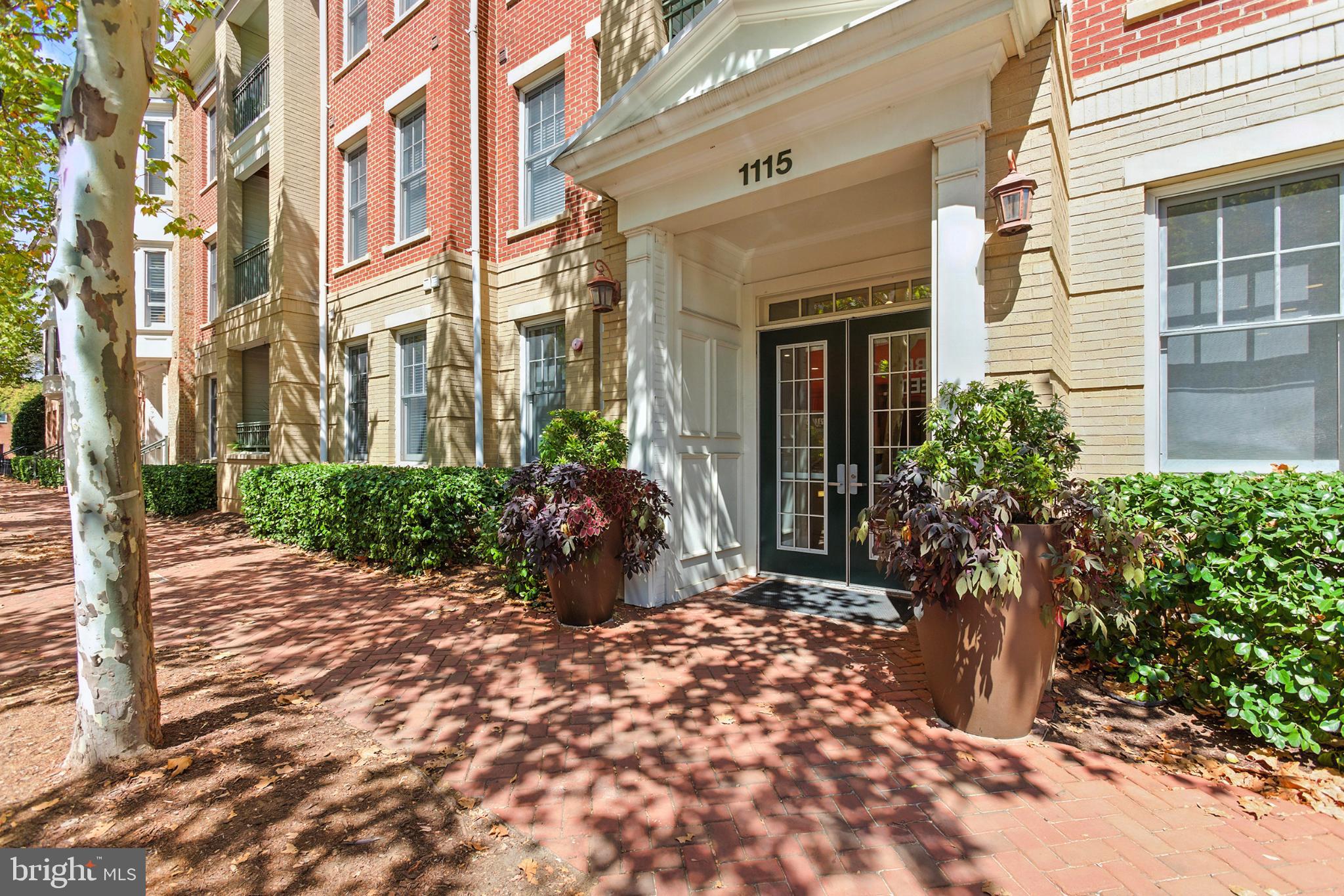 1115 CAMERON STREET 104