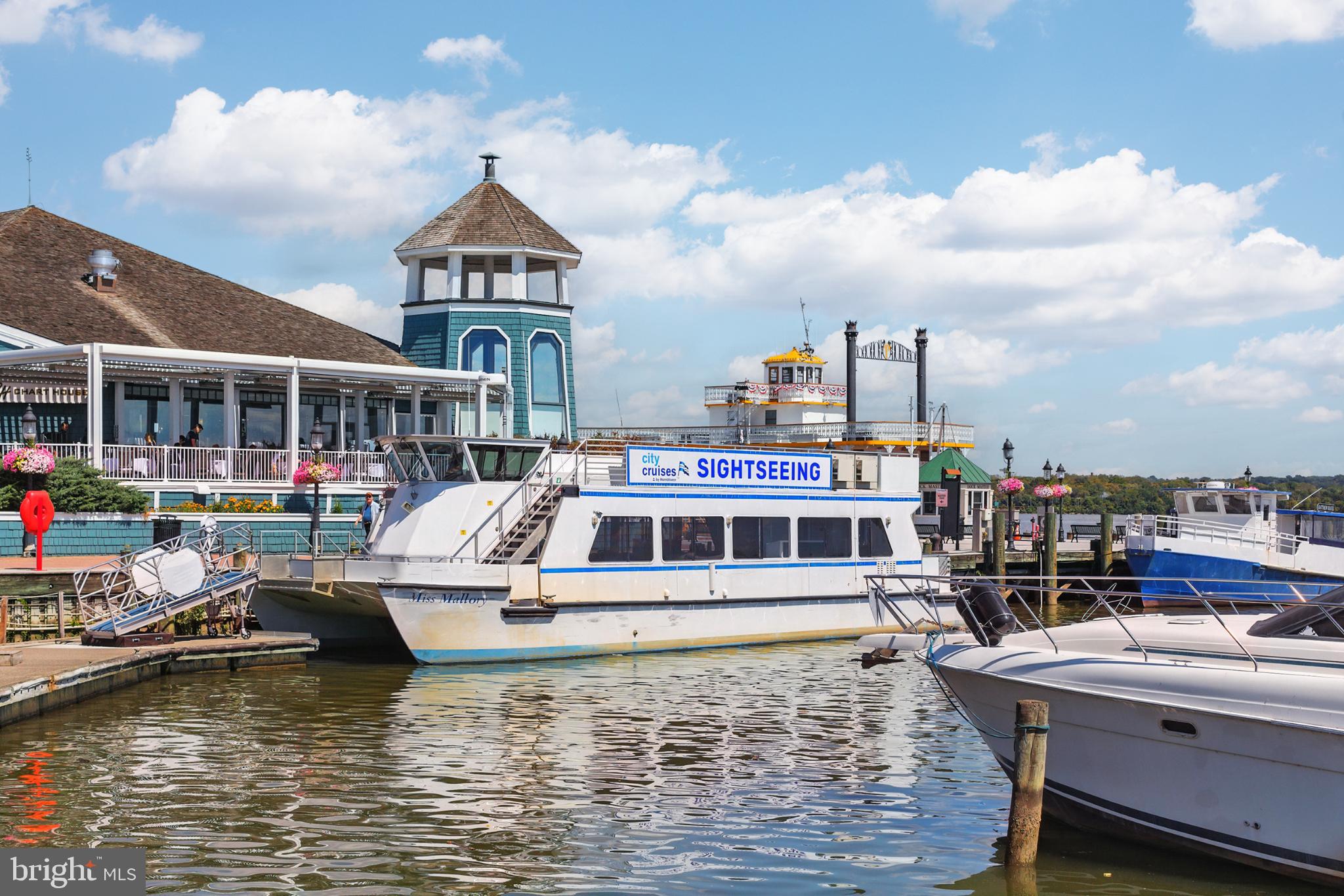 1115 CAMERON STREET 104