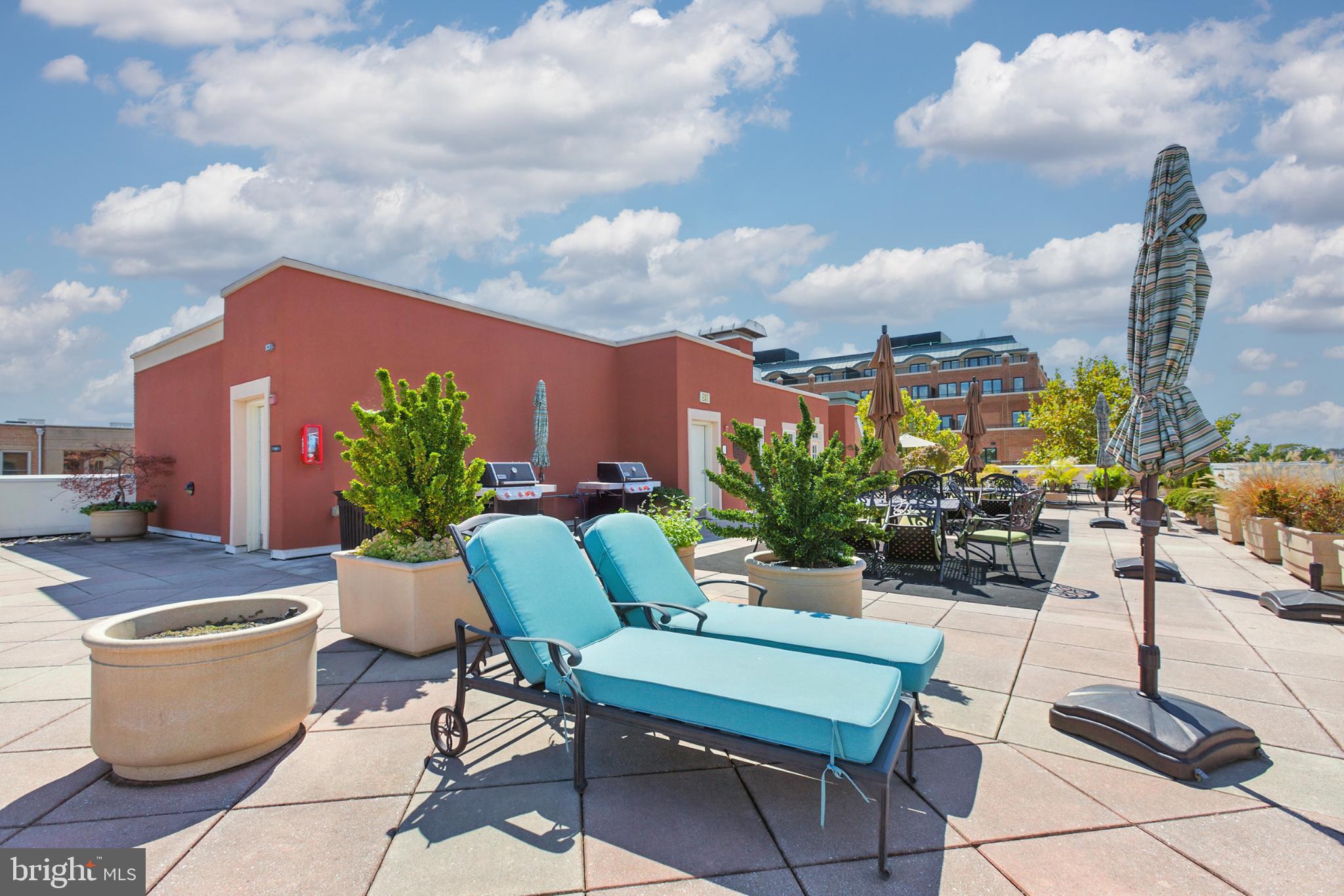 1115 CAMERON STREET 104