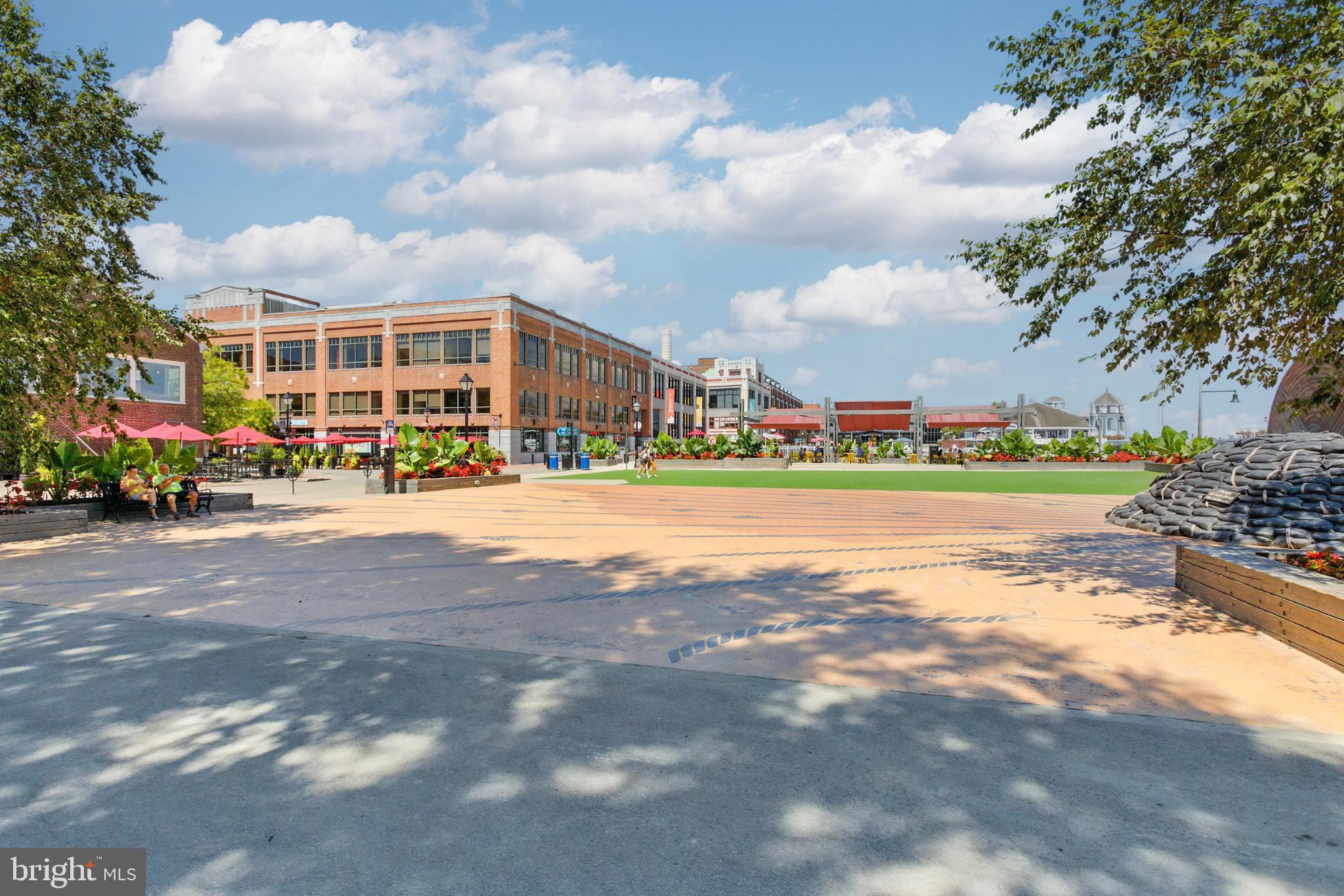 1115 CAMERON STREET 104