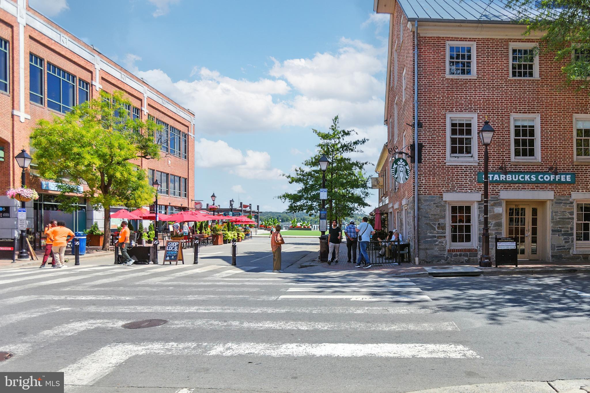 1115 CAMERON STREET 104