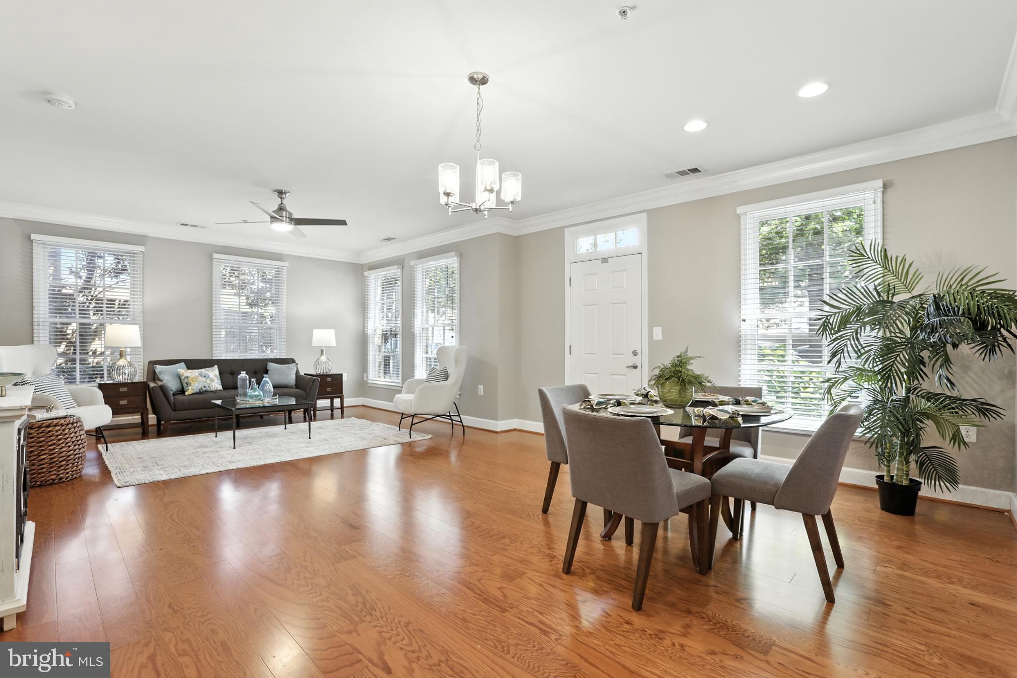 1115 CAMERON STREET 104