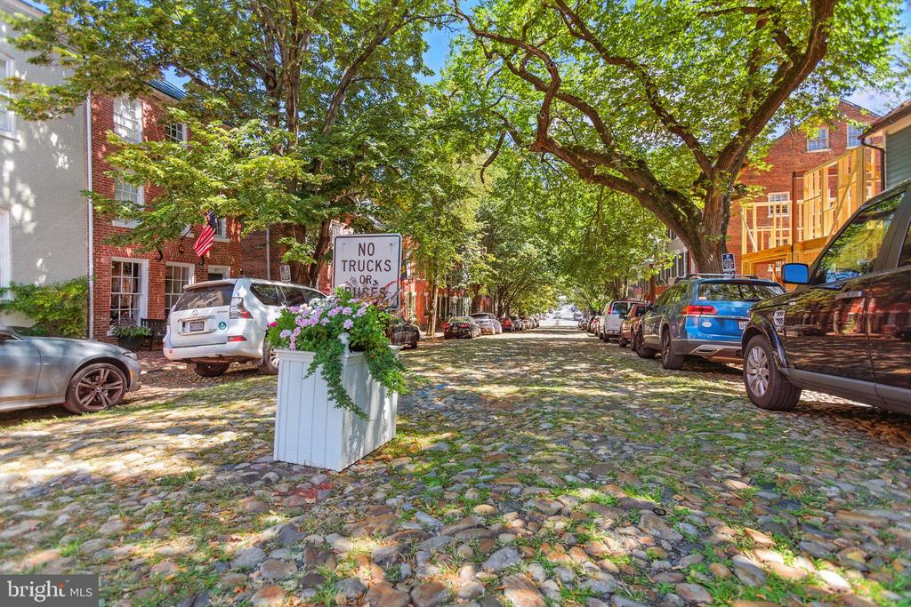 1115 CAMERON STREET 104