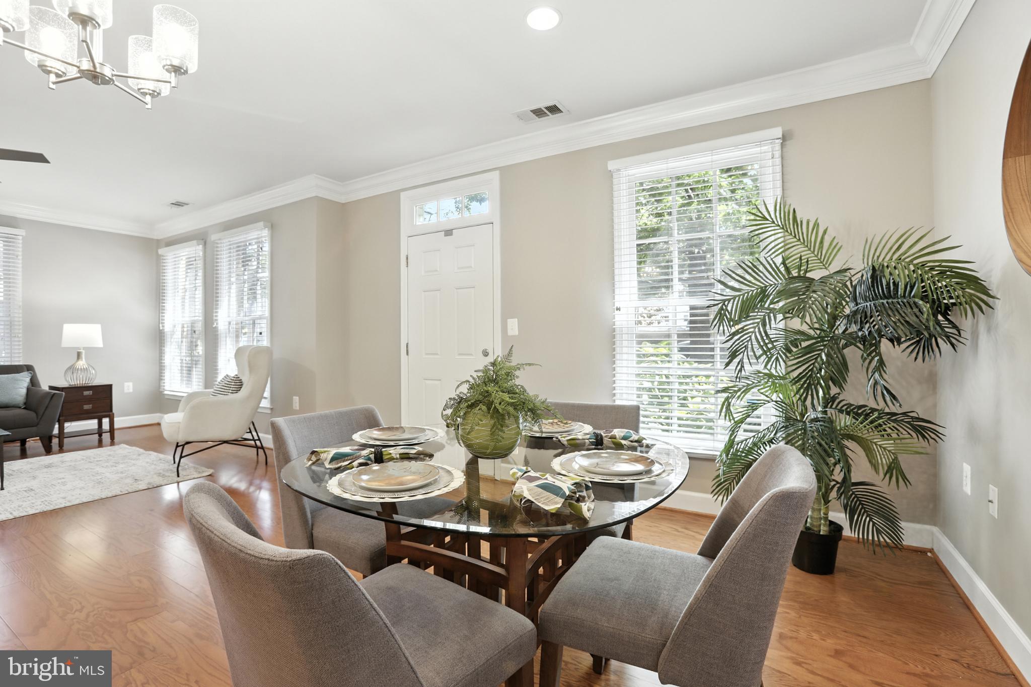 1115 CAMERON STREET 104