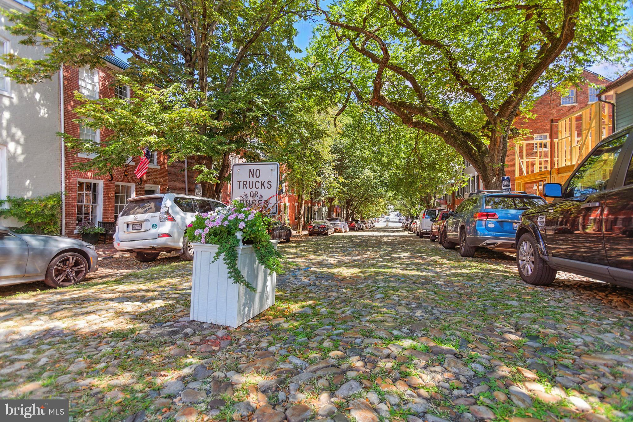 1115 CAMERON STREET 104