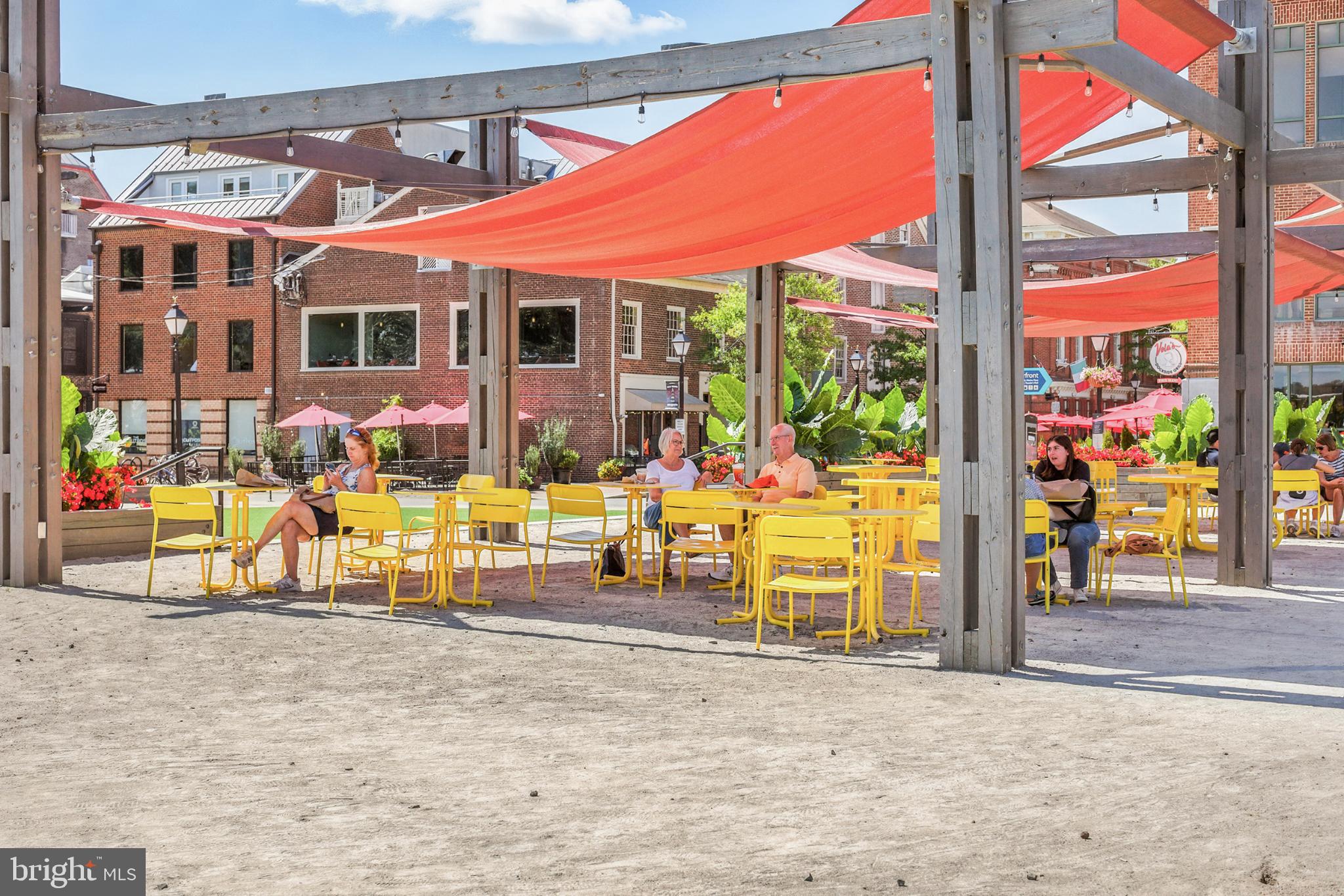 1115 CAMERON STREET 104