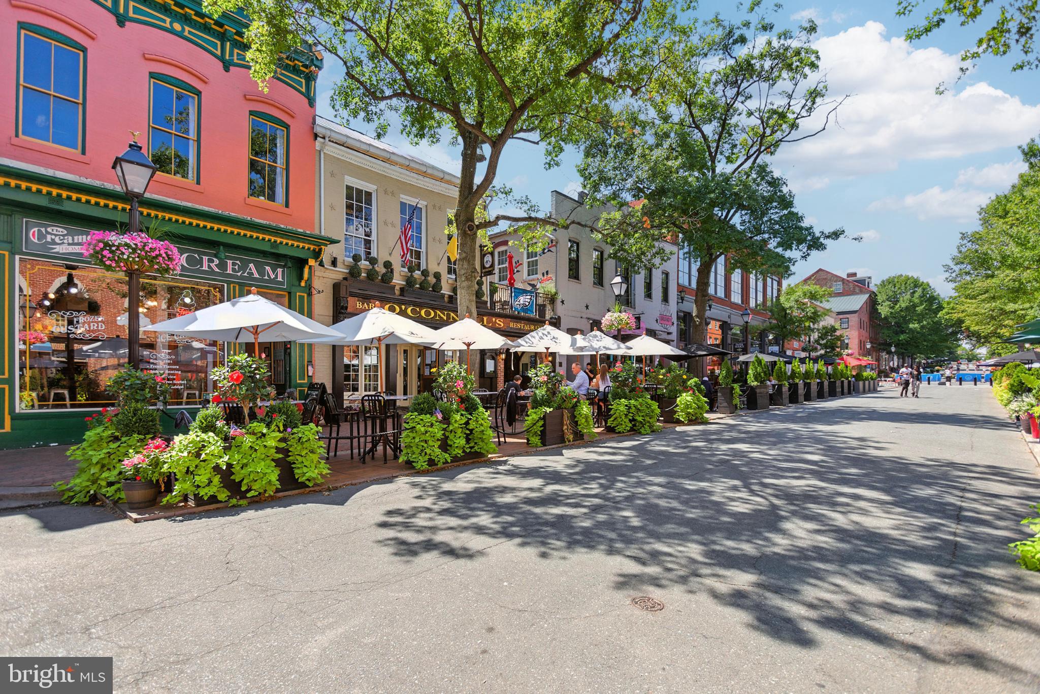 1115 CAMERON STREET 104