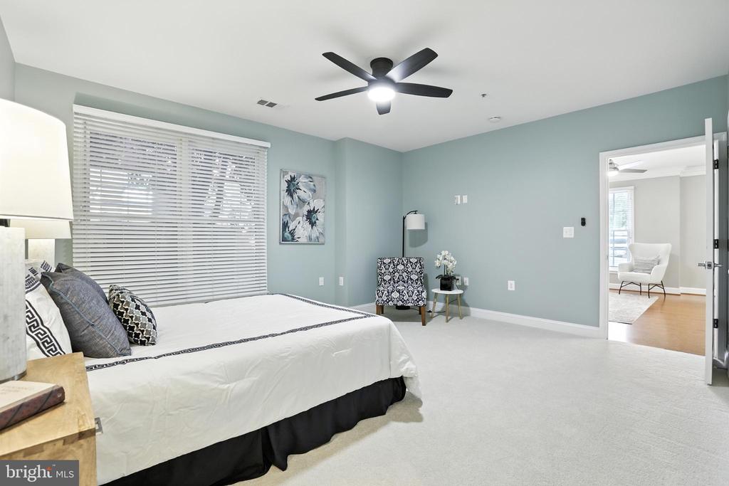 1115 CAMERON STREET 104