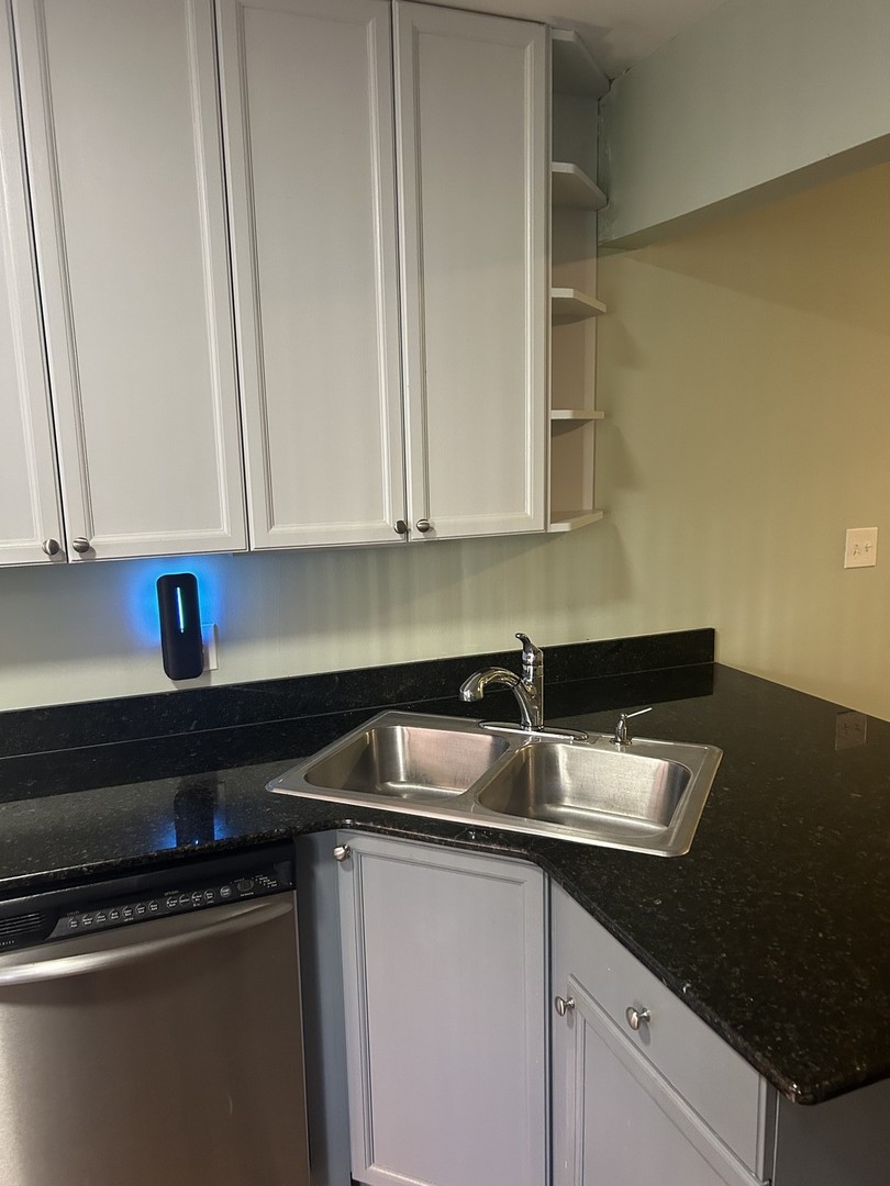 1538 W Chase Avenue Unit: 2S