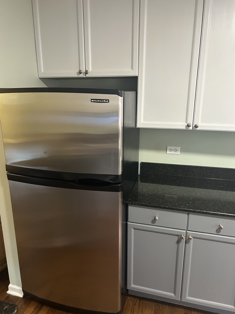 1538 W Chase Avenue Unit: 2S