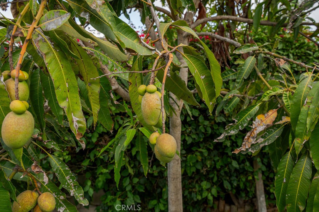 15352 Nantucket Street