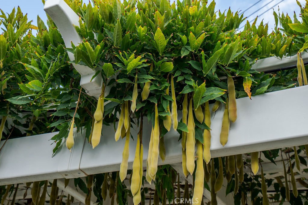 15352 Nantucket Street