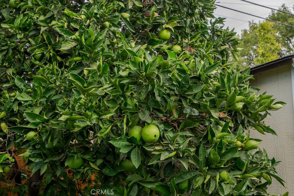 15352 Nantucket Street