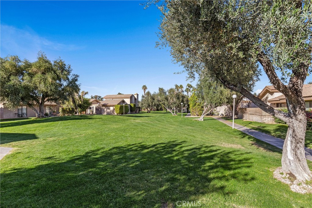 47395 Monroe Street #102