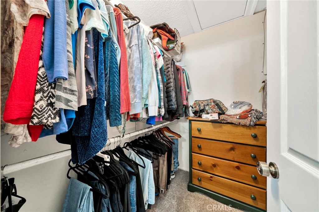 3736 Live Oak Drive