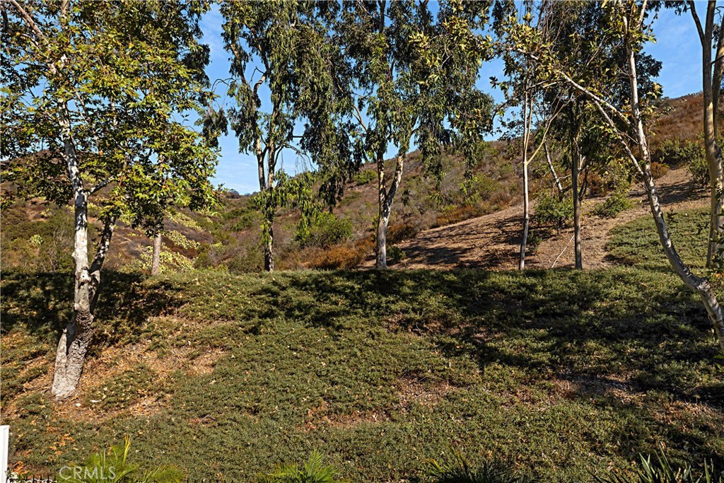 75 Mira Mesa