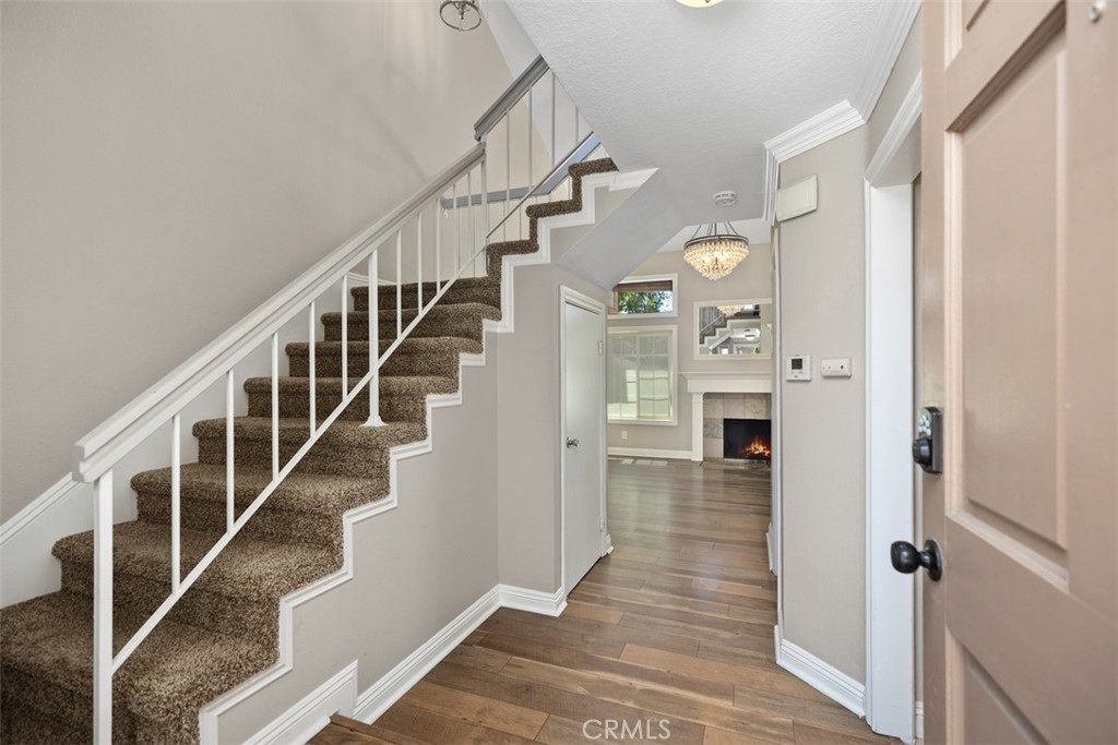 25162 Chestnutwood 47