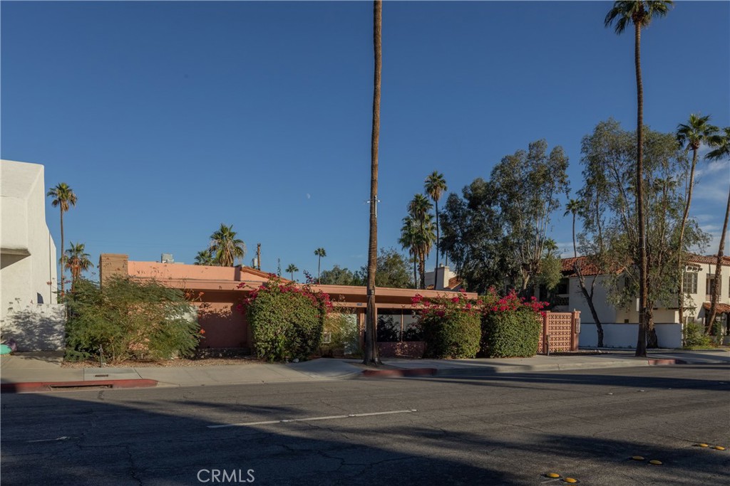 1404 N Palm Canyon