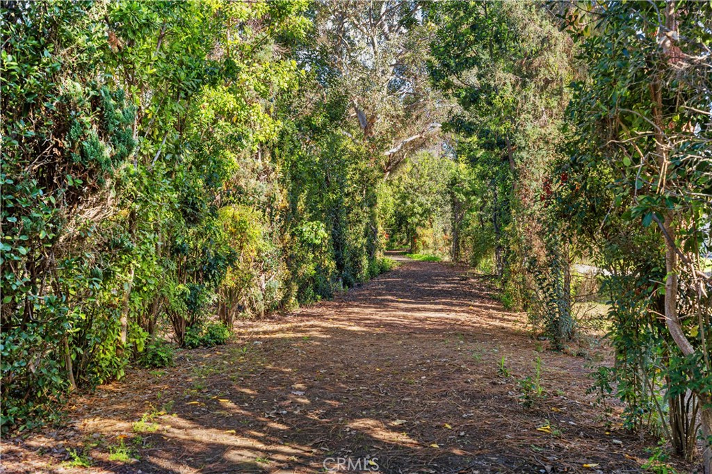 713 Avenida Majorca #B