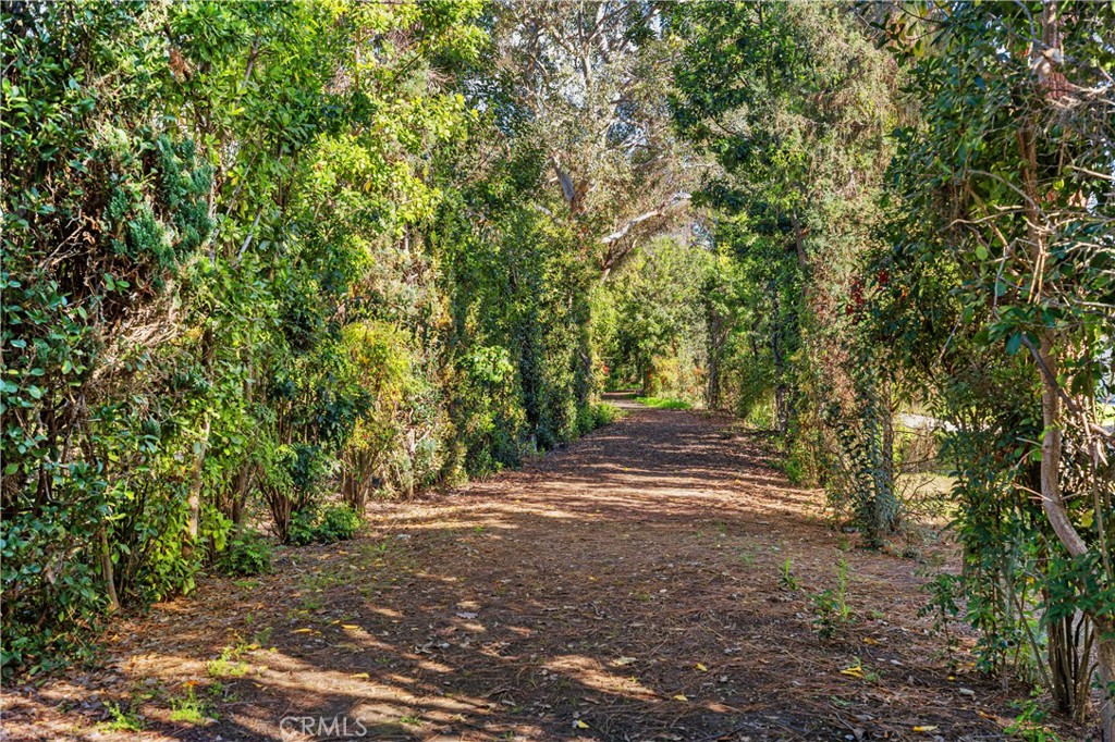 713 Avenida Majorca #B