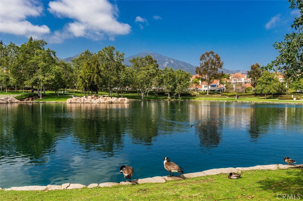 49 Montana Del Lago