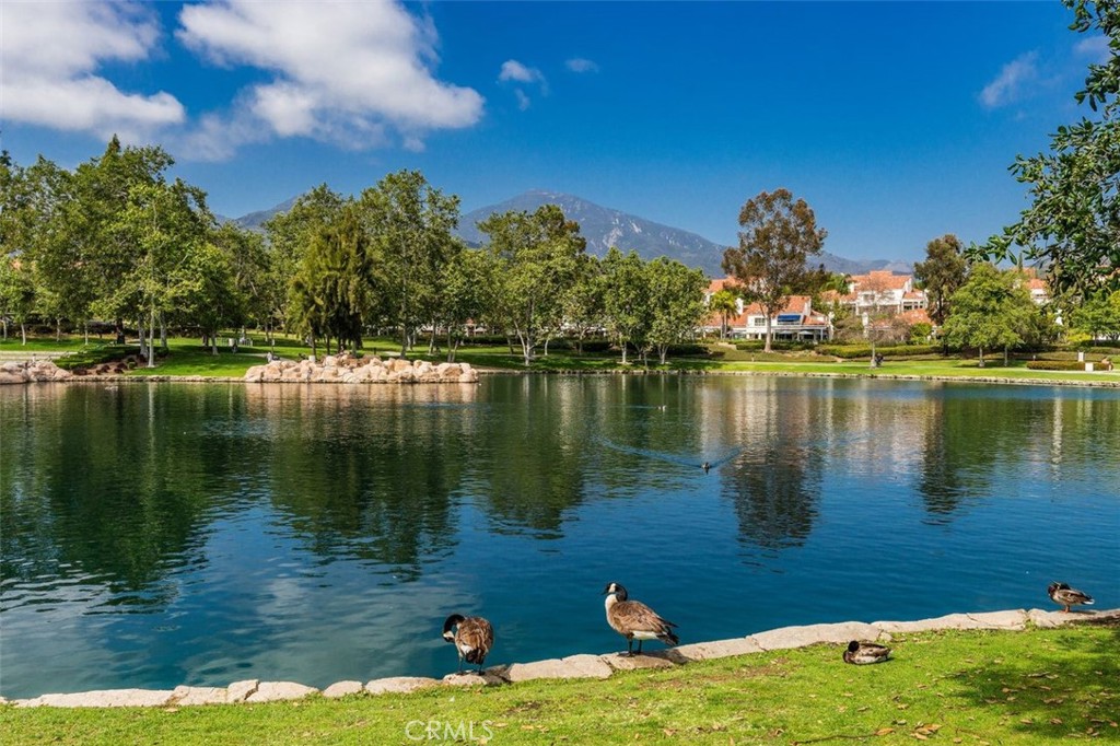 49 Montana Del Lago