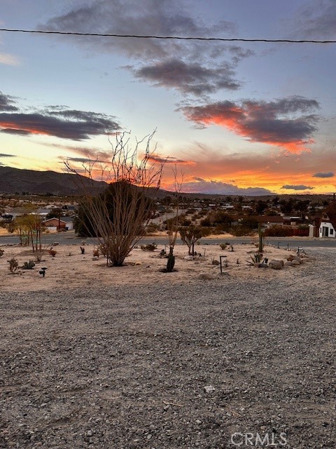 6597 Mesquite Springs