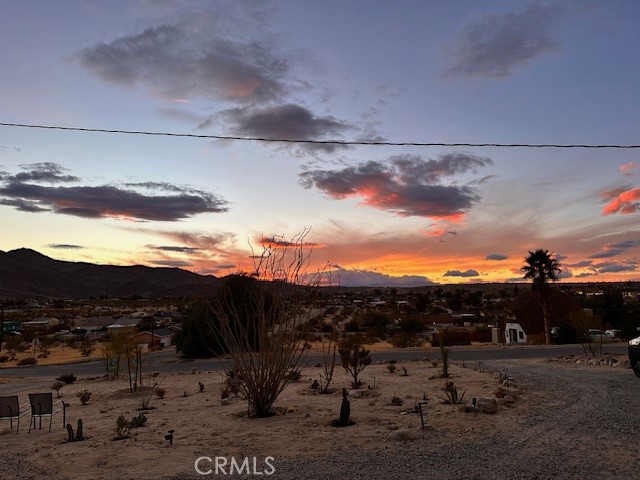 6597 Mesquite Springs