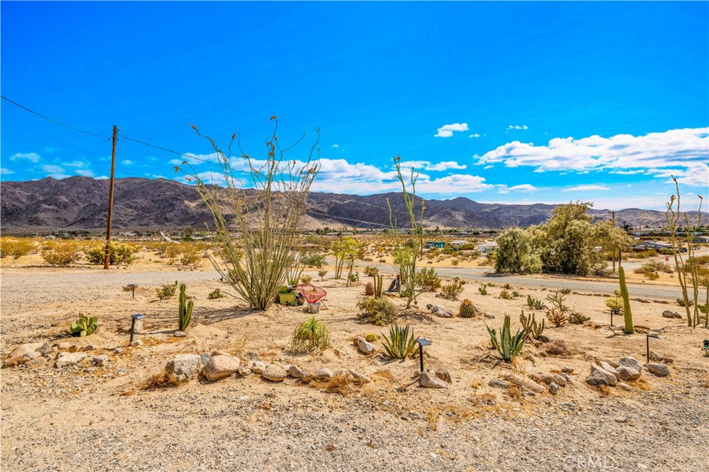 6597 Mesquite Springs
