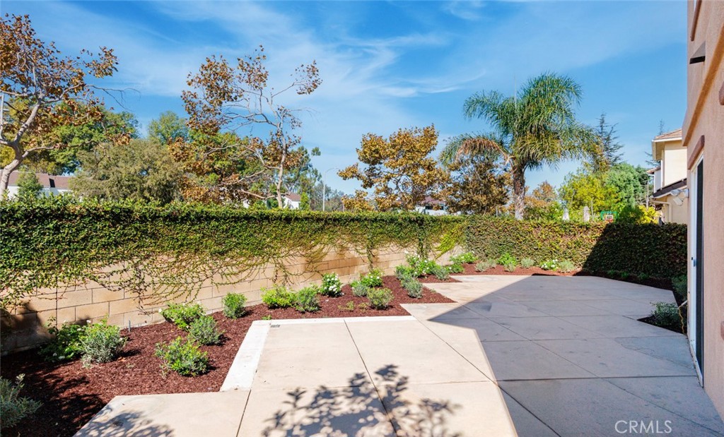 1571 Amberleaf