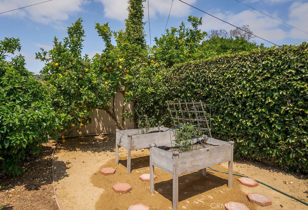 4225 Cerritos Avenue