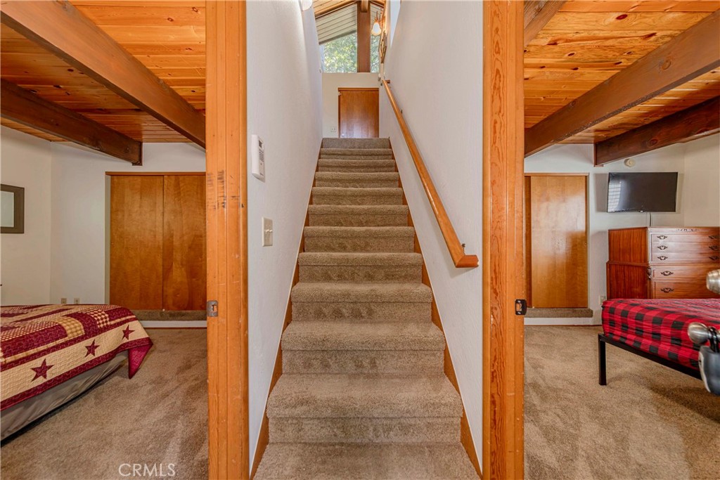 828 Fern Drive