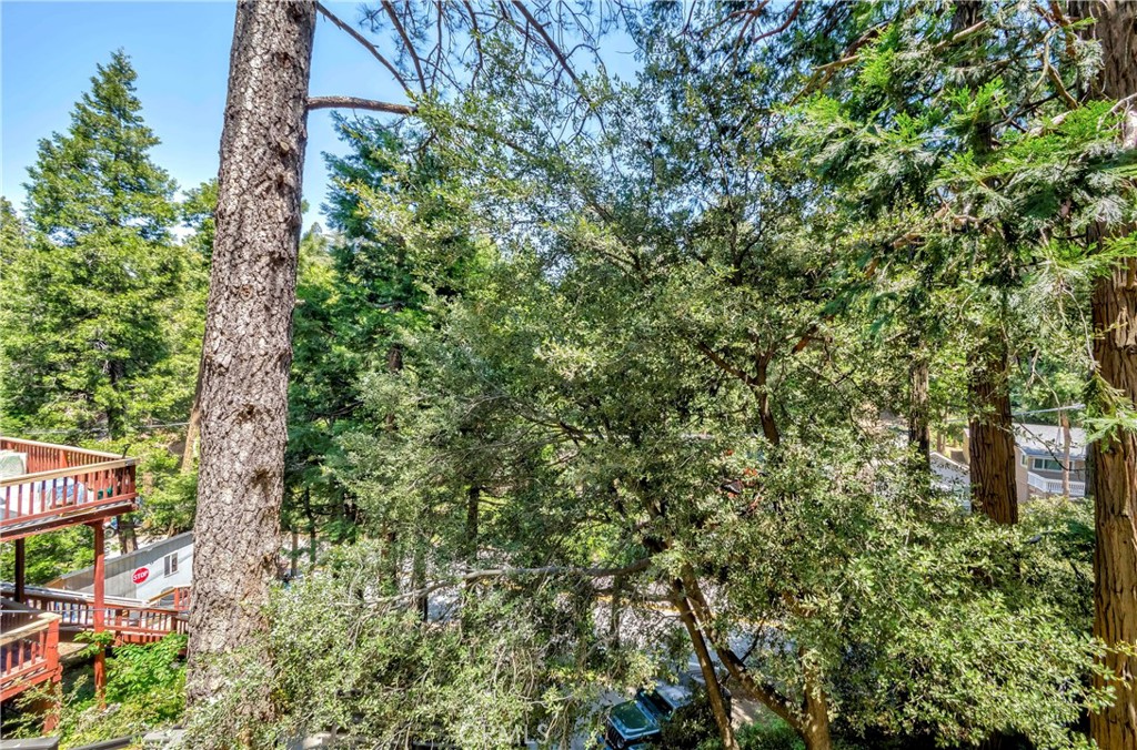 828 Fern Drive