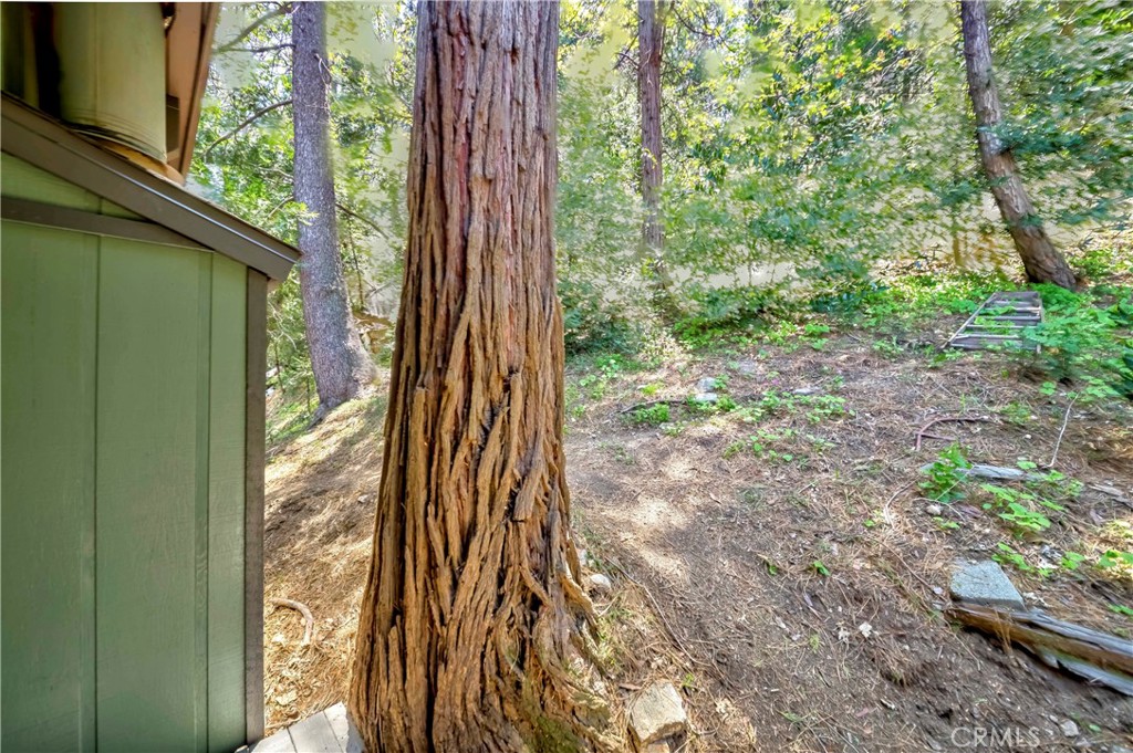 828 Fern Drive