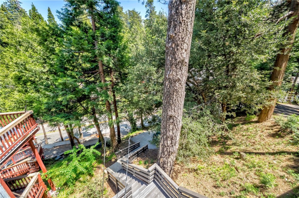 828 Fern Drive