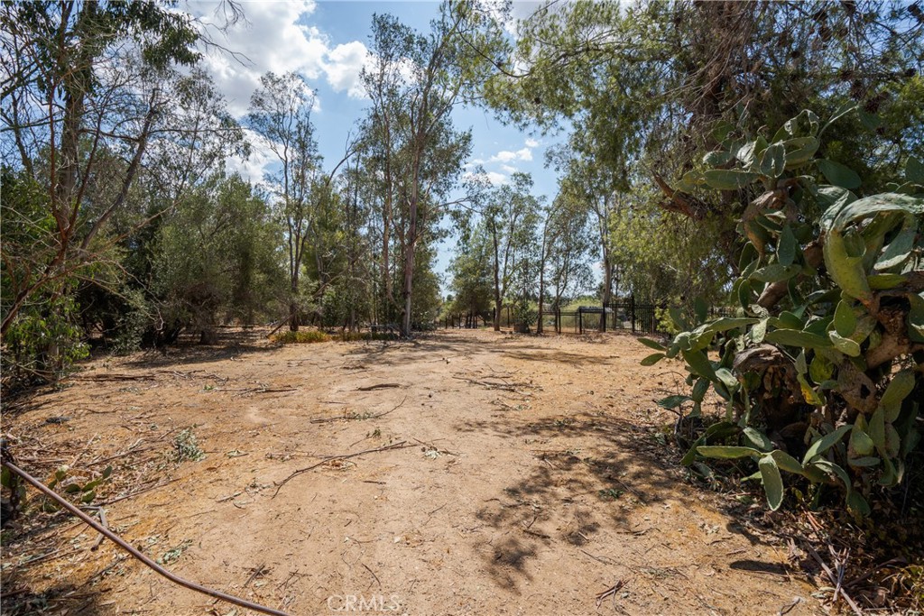 35525 Wildwood Canyon Rd