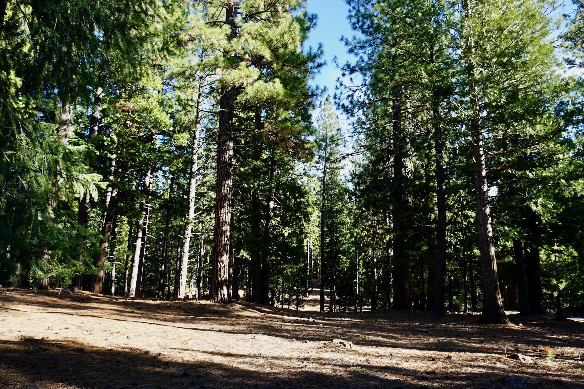 1899 Red Fox Road