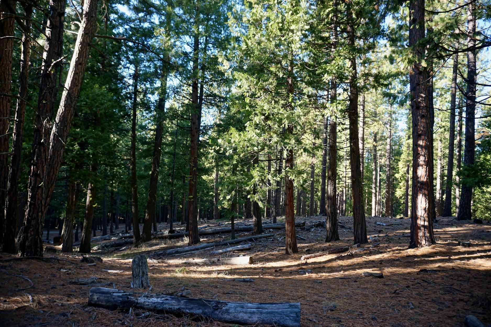 1899 Red Fox Road