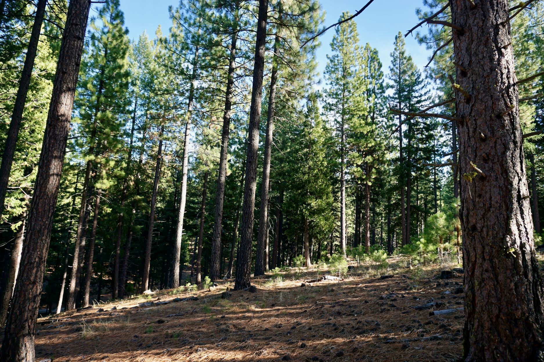 1899 Red Fox Road